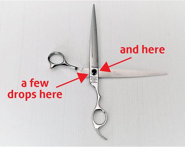 Shears Maintenance