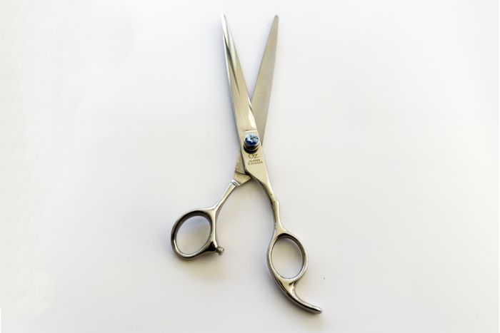 Straight 8 Inch Blue Gemstone Shears - Image 2