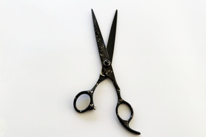 Titanium 8 Inch Shears - Image 2