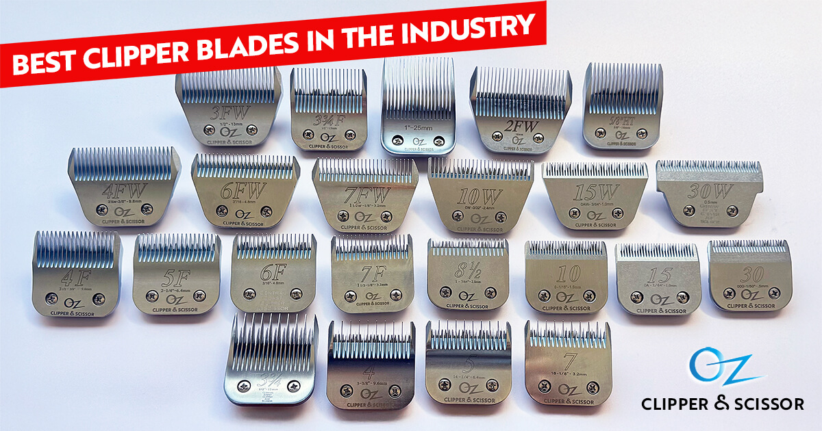 Best clipper blades