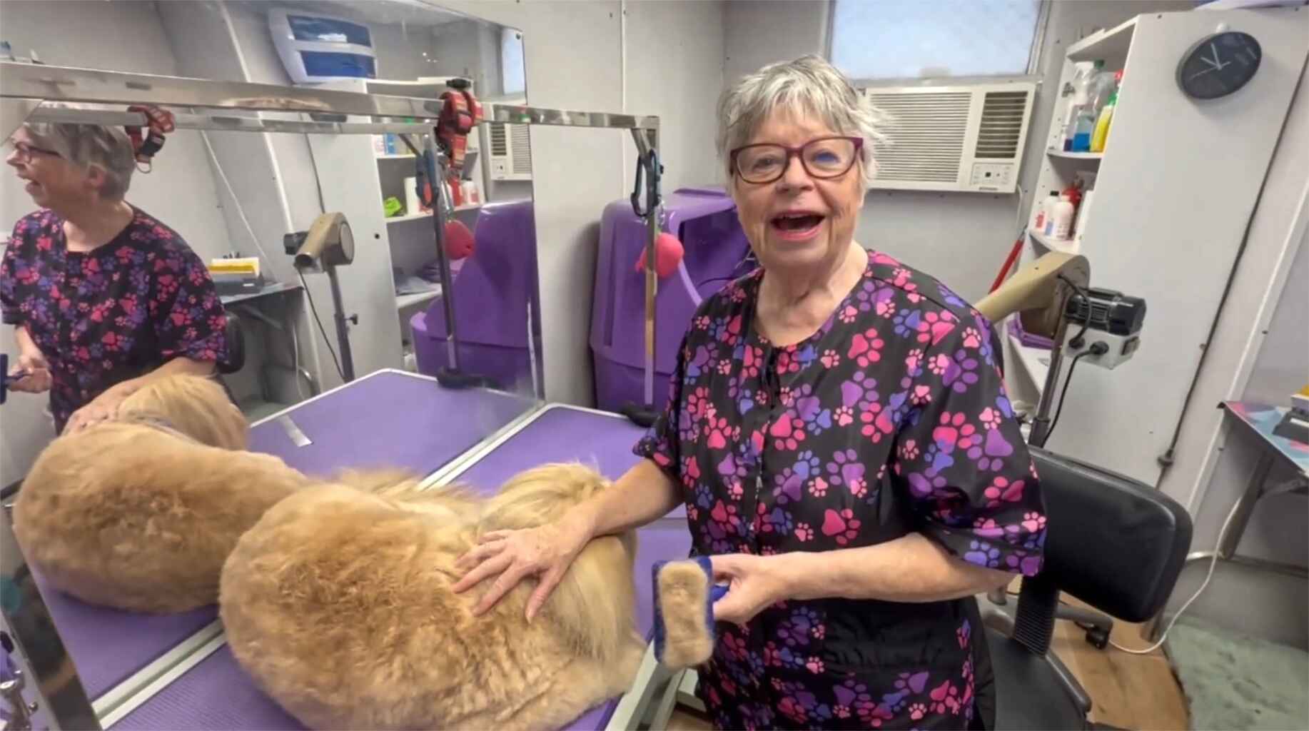 Coat prep and Brushing - Chris Webb