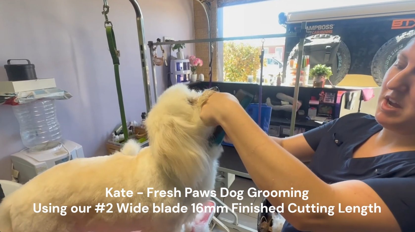 Demonstrating #1 #2 #3 Clipper Blades